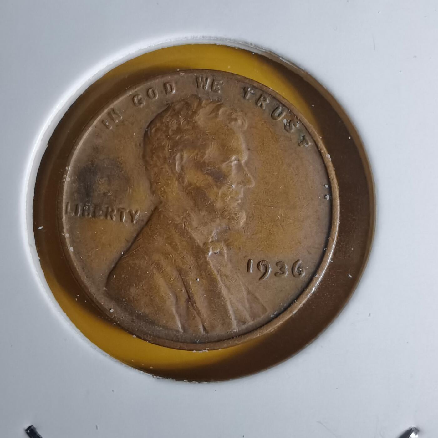 沼泽如烟--第1068场