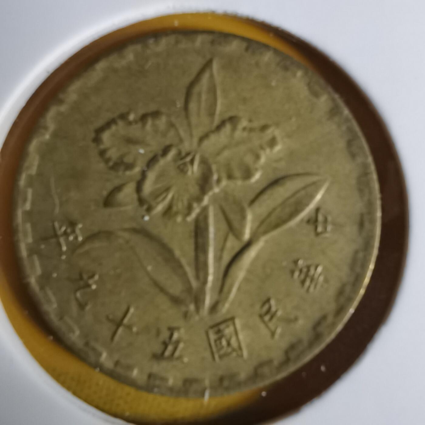 沼泽如烟--第1068场