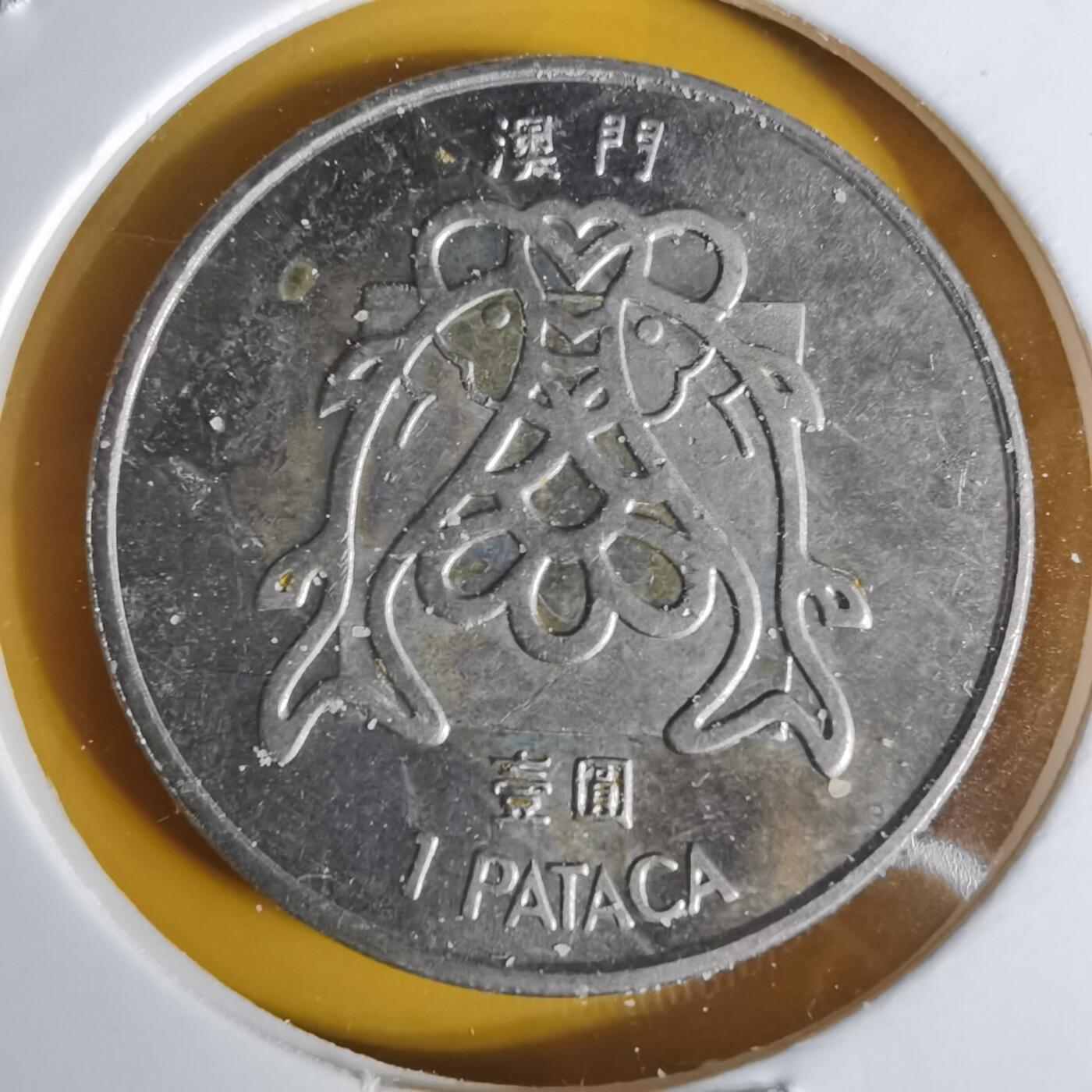 沼泽如烟--第1068场