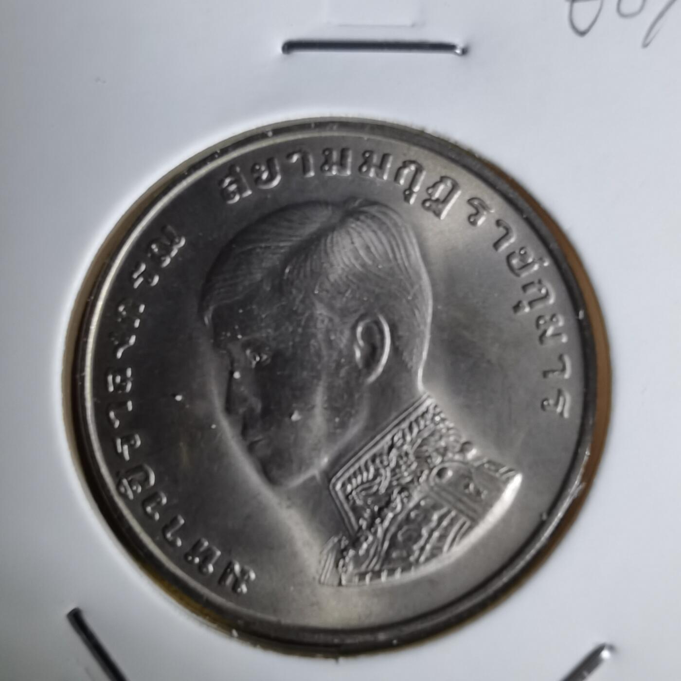 沼泽如烟--第1068场