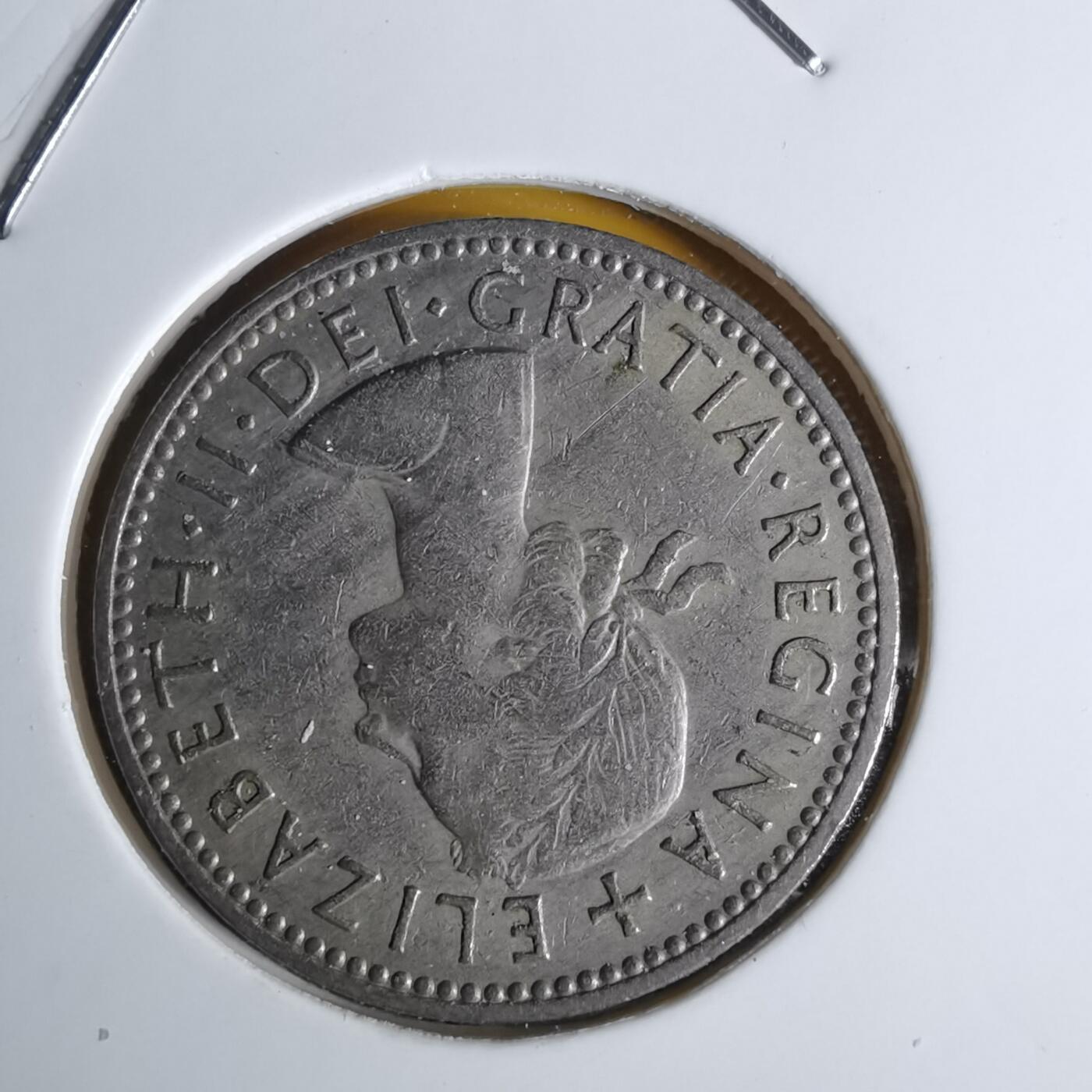 沼泽如烟--第1068场