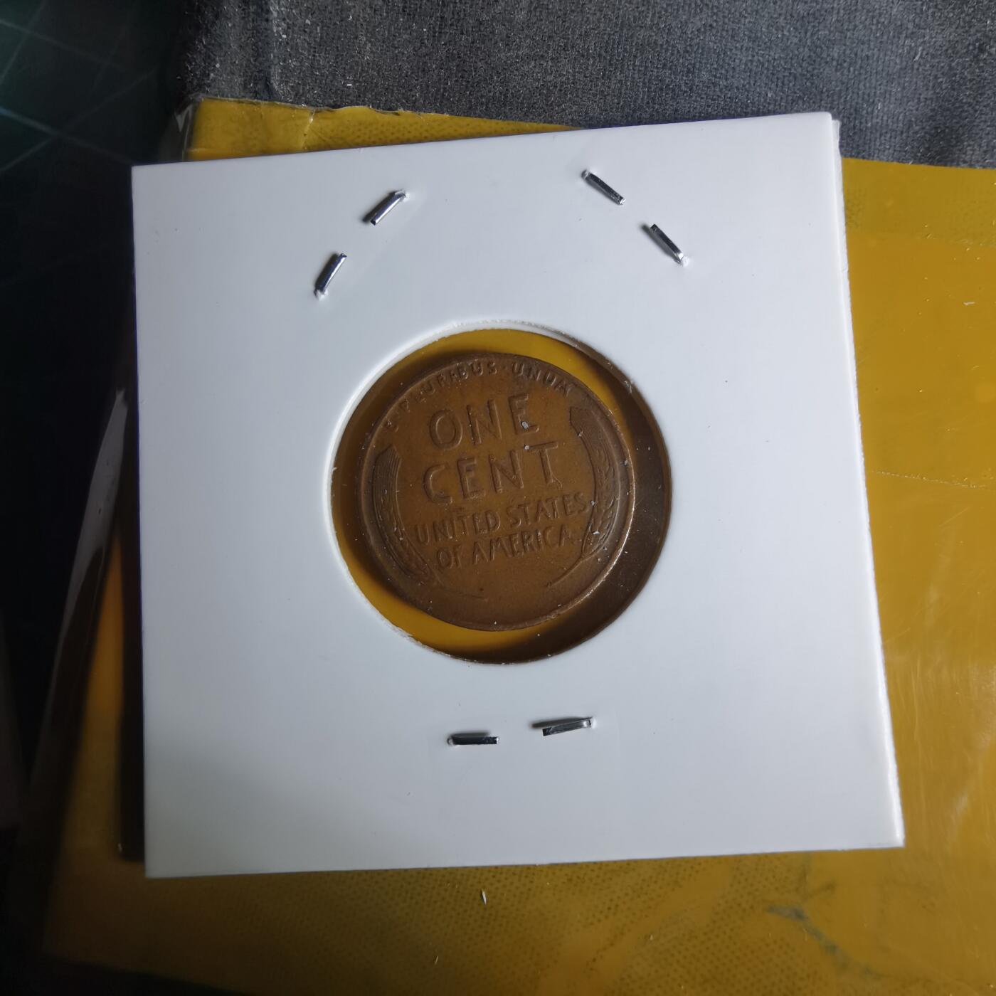 沼泽如烟--第1068场