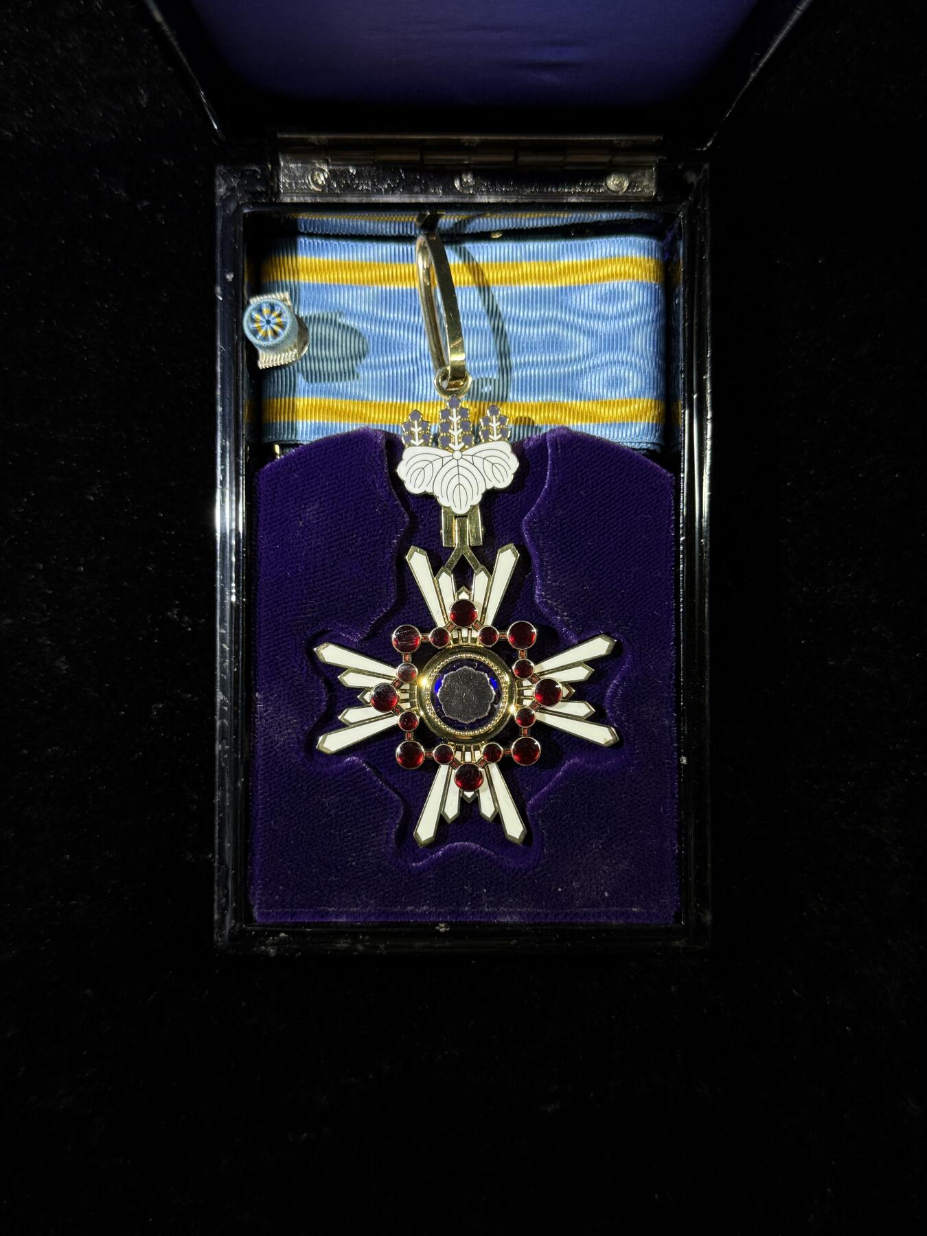 戎马世界章牌大赏第115期