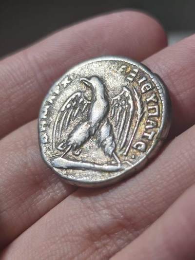 星盘世界钱币 5.2年度精品币大拍 一周年抽奖活动 美品！罗马帝国 - 图拉真大帝鹰4德拉克马大银币 东方地区军团使用 五贤帝名帝 早期银质很纯