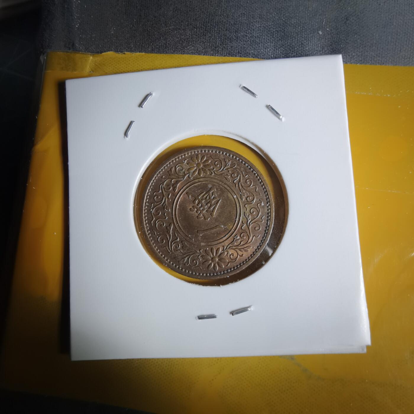 沼泽如烟--第1068场