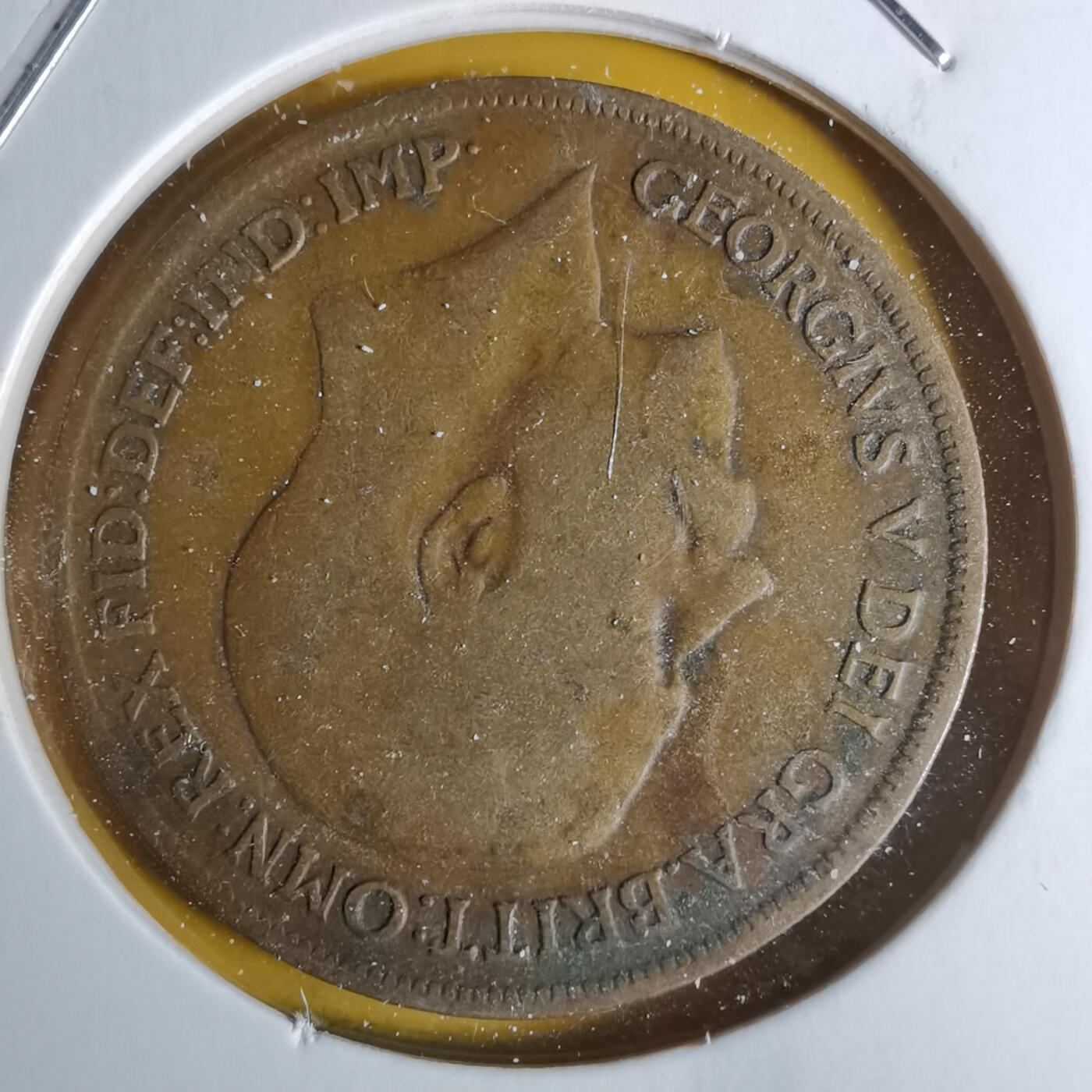 沼泽如烟--第1068场