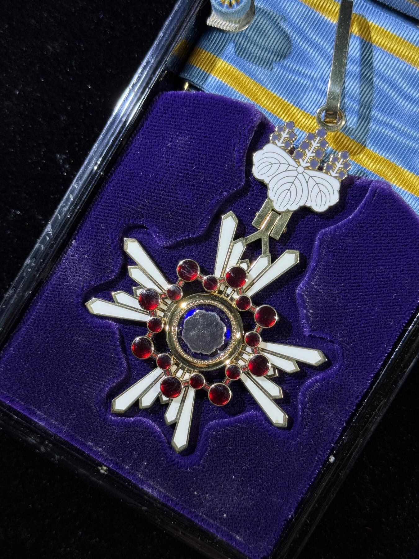 戎马世界章牌大赏第115期