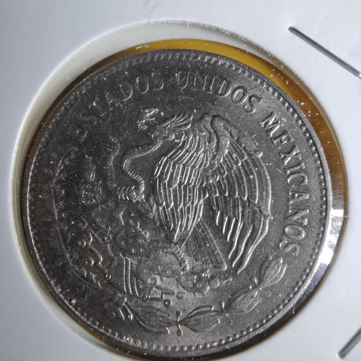 沼泽如烟--第1068场