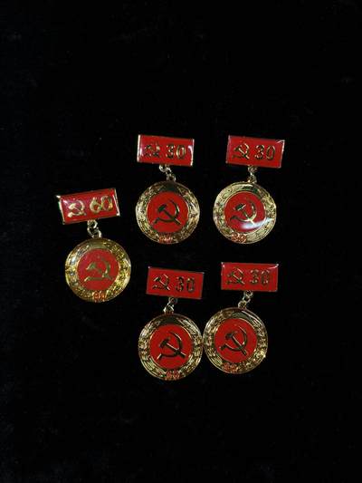 戎马世界章牌大赏第115期 越南党龄章一组