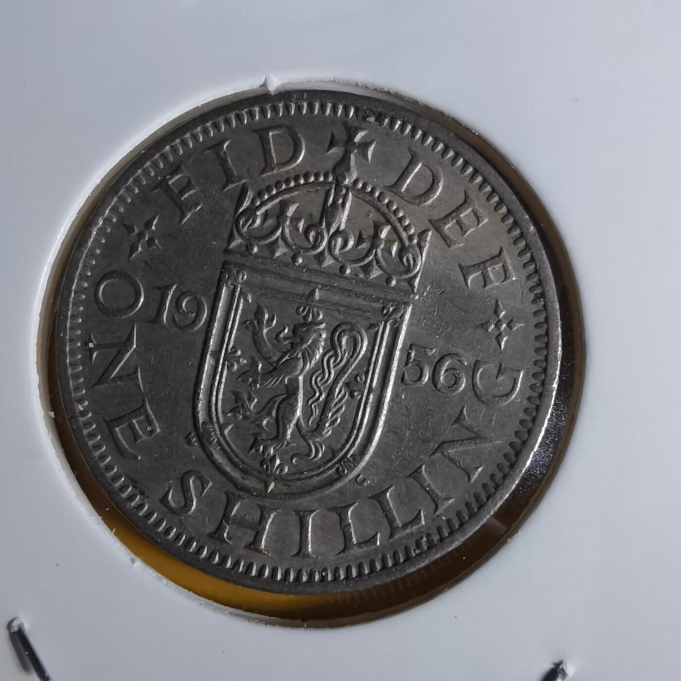 沼泽如烟--第1068场