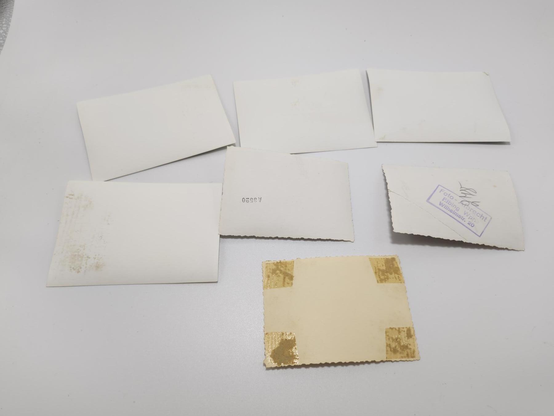 南水社第5次拍卖 