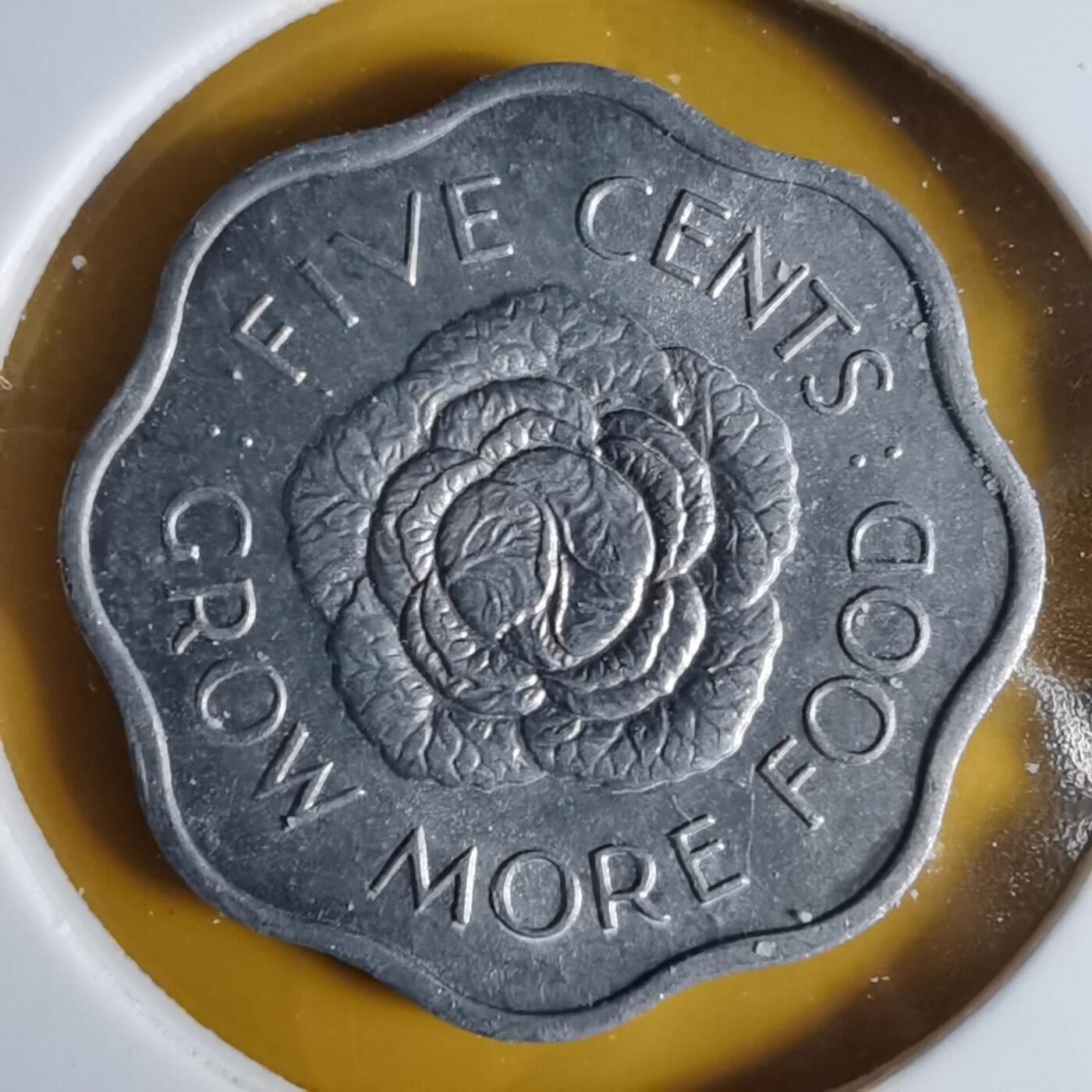 沼泽如烟--第1068场