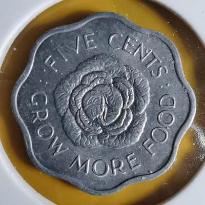 沼泽如烟--第1068场 塞舌尔1972年五分FAO