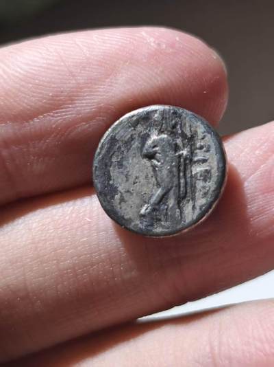 星盘世界钱币 5.2年度精品币大拍 一周年抽奖活动 波斯帝国-卡利亚总督 哈利卡纳苏斯1德拉克马 阿波罗银币 该地区以摩索拉斯总督的陵墓闻名 世界七大奇迹之一 该币应该是后继总督