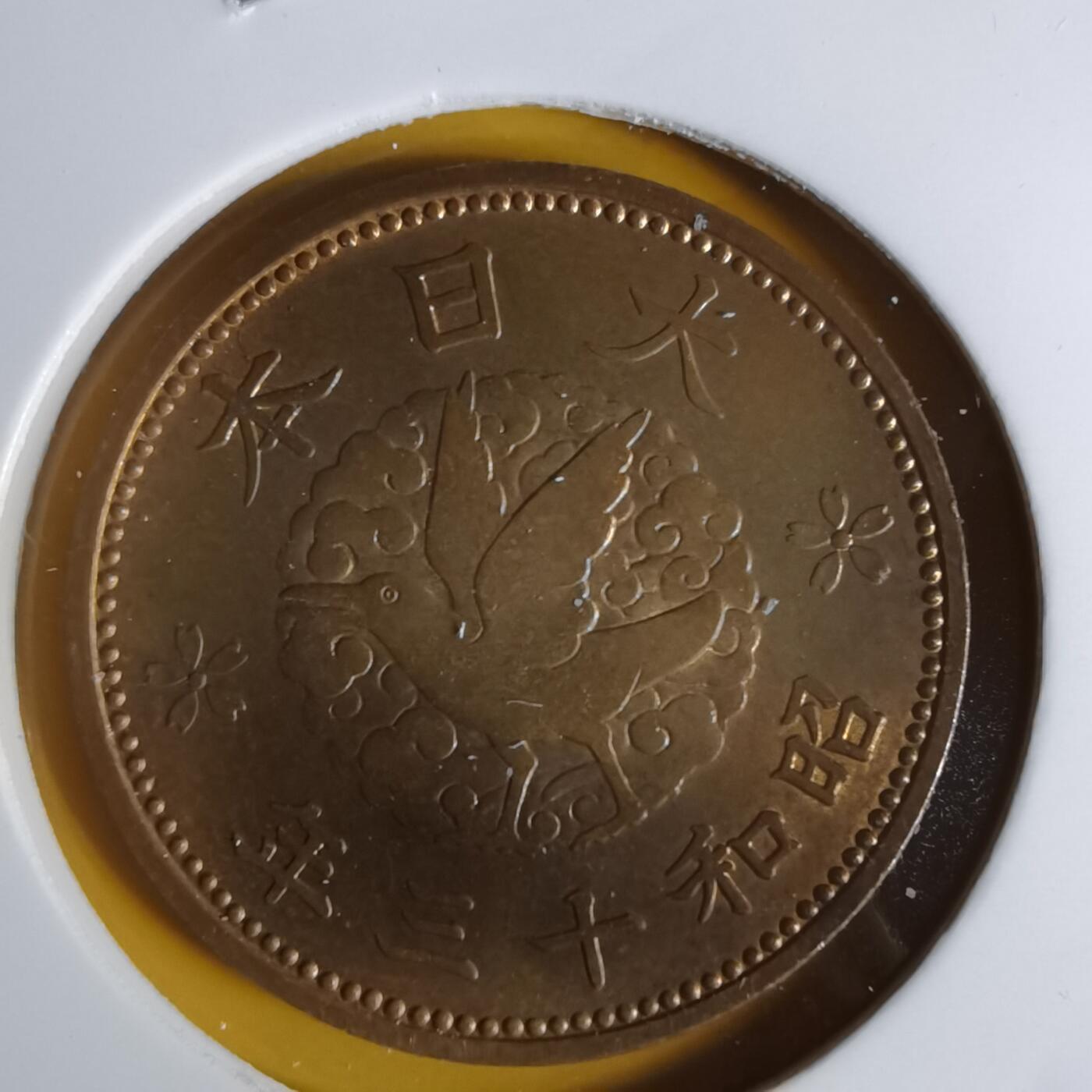 沼泽如烟--第1068场