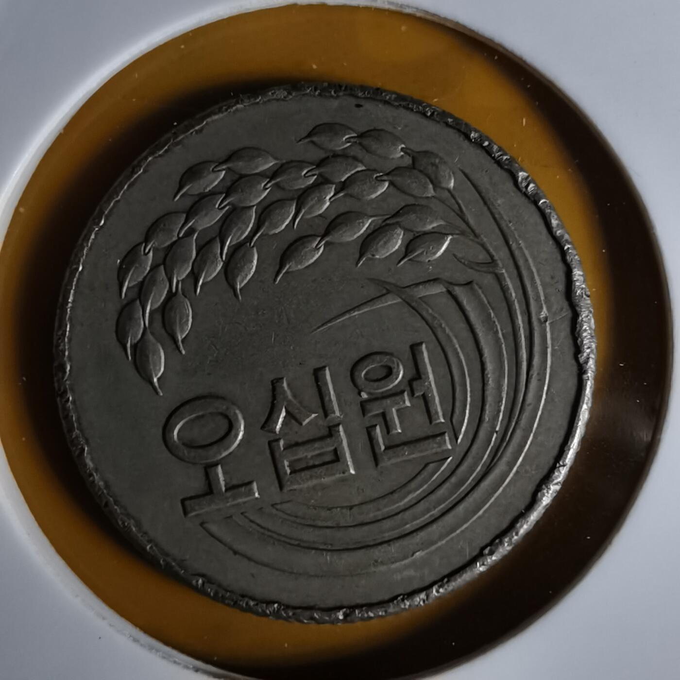 沼泽如烟--第1068场