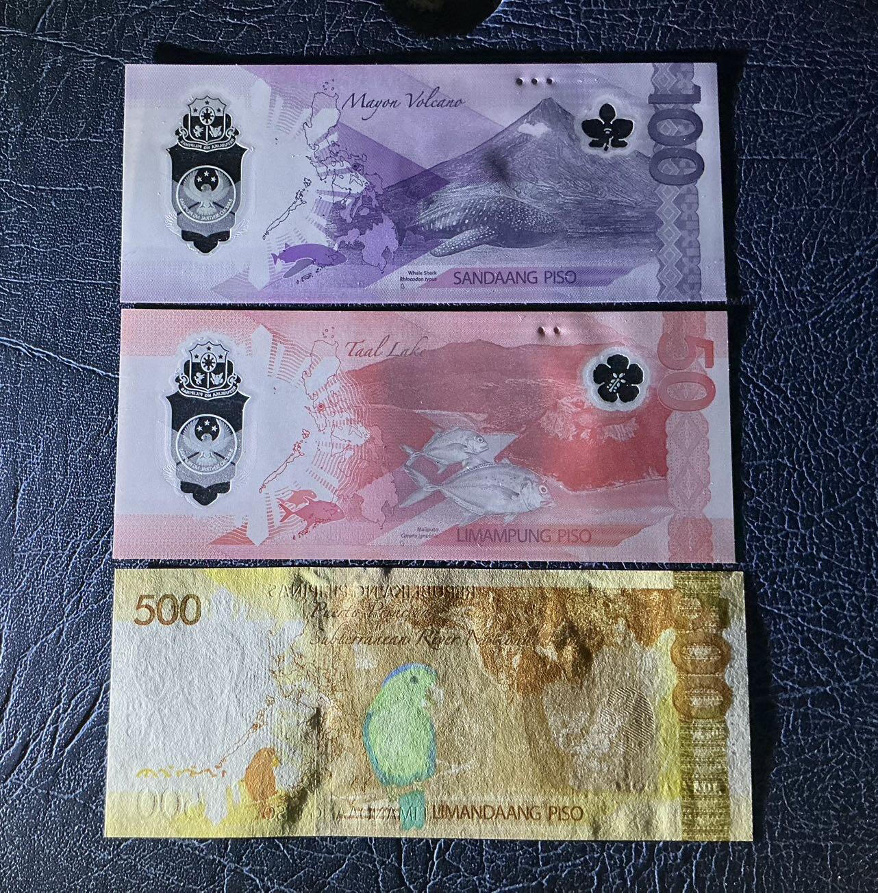 【炜奕收藏】，五月第一期