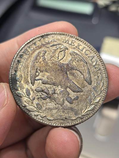 博洋堂“生趣盎然”4月精品专场暨第169期（全场包邮） 墨西哥1876年ZS JS版花边鹰洋 无戳带光好品