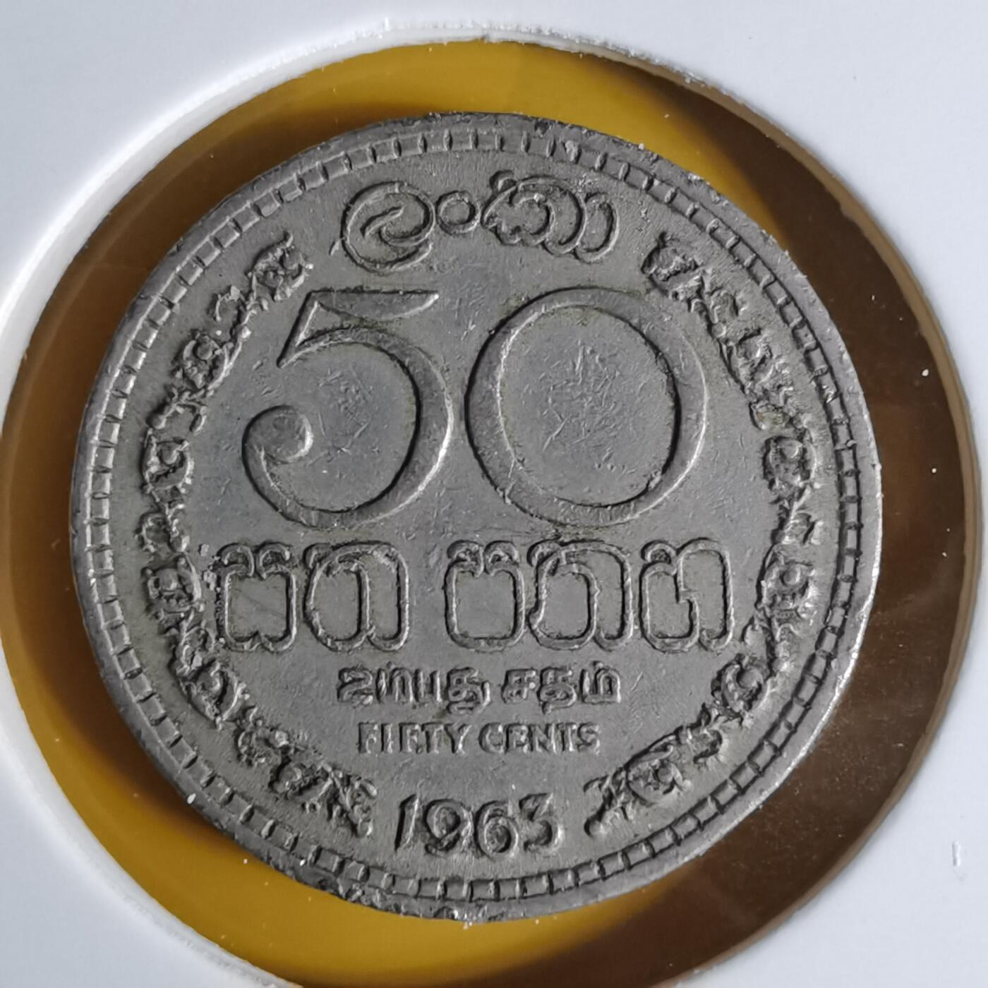 沼泽如烟--第1068场