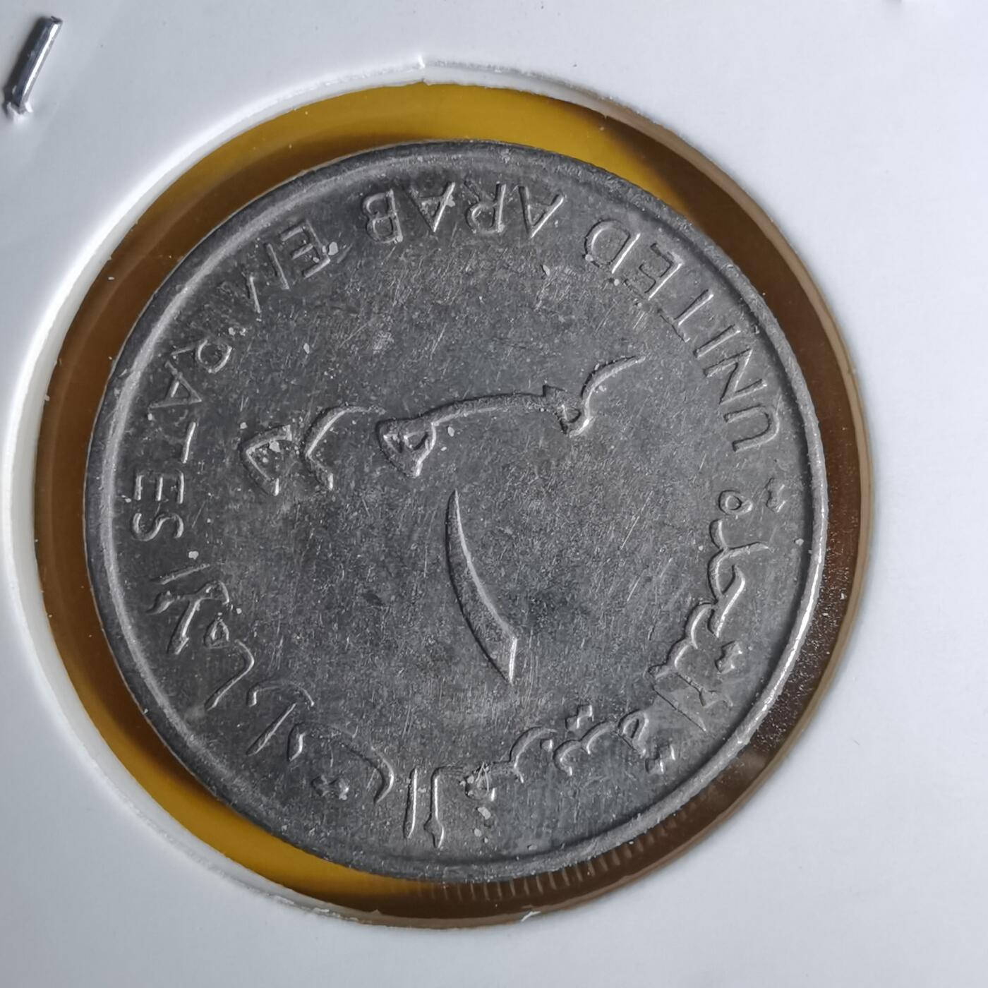 沼泽如烟--第1068场