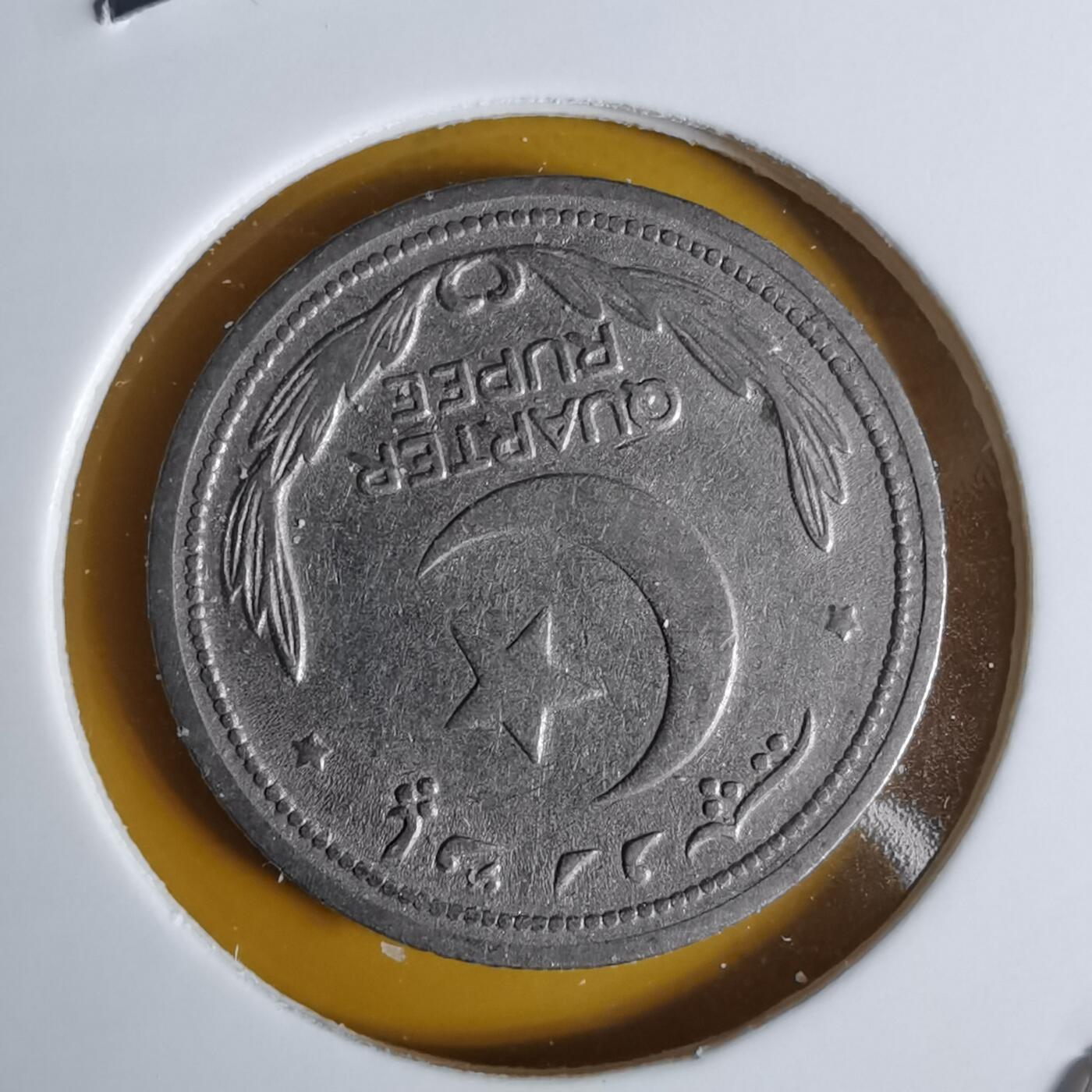 沼泽如烟--第1068场