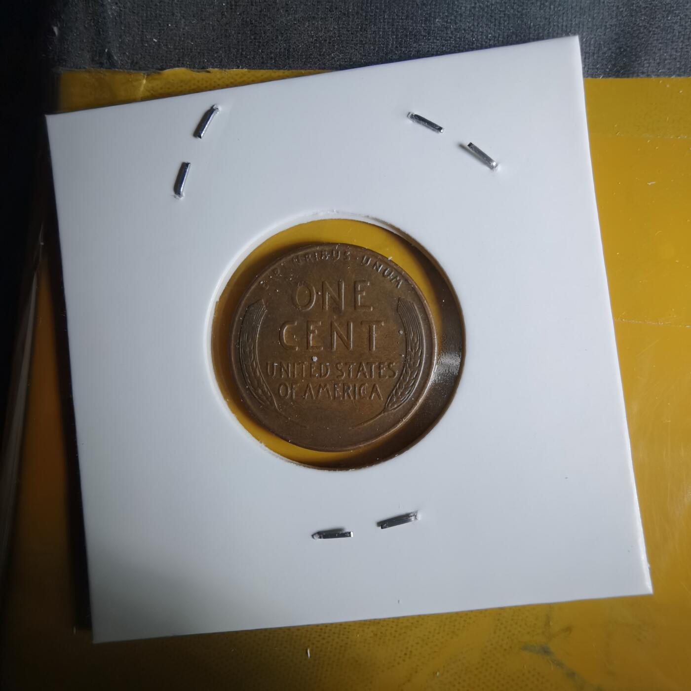 沼泽如烟--第1068场