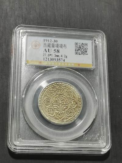 天下钱庄专场欢迎参拍 - 西藏章噶银币