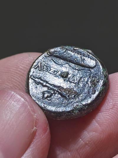 星盘世界钱币 5.2年度精品币大拍 一周年抽奖活动 古希腊马其顿帝国 公元前336-323 年 亚历山大三世 大力神和武器铜币。正面为戴涅墨亚狮皮盔的赫拉克勒斯头像，背面为赫拉克勒斯的标志性武器组合（狼牙棒、弓箭与箭囊）