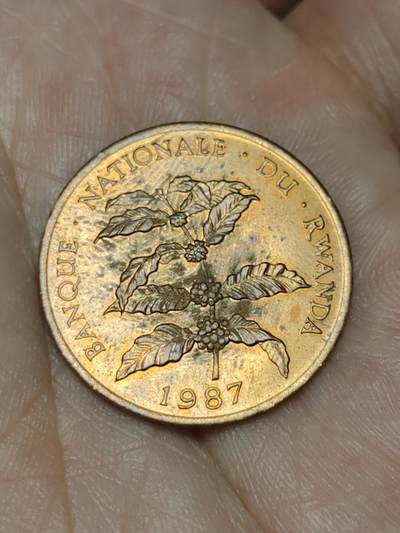 2026年第四十八场(总第二百一十七场）外国好品散币场(免佣金) 卢旺达🇷🇼1987年5法郎(独立后第三套流通硬币)