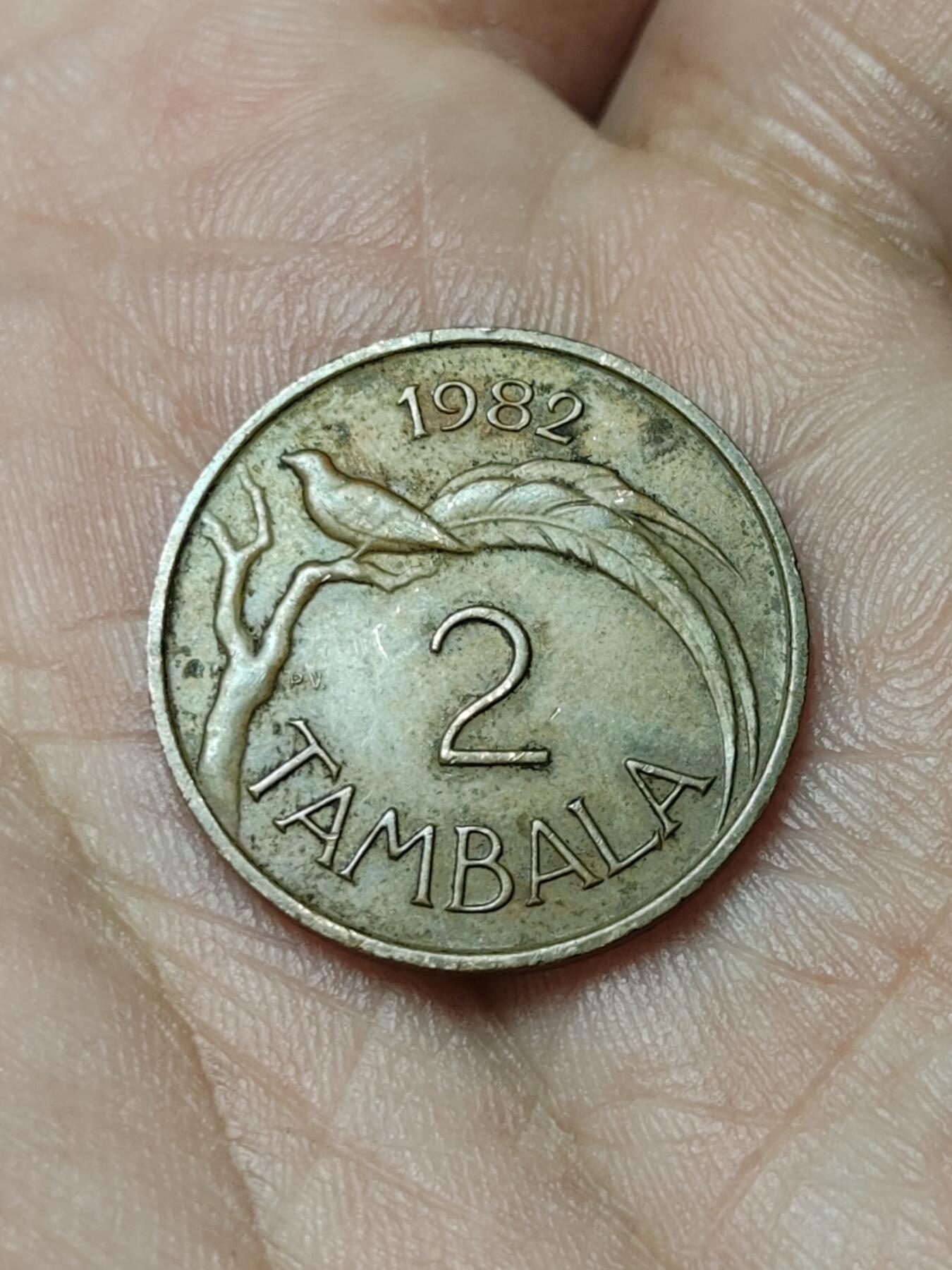 2026年第四十八场(总第二百一十七场）外国好品散币场(免佣金)