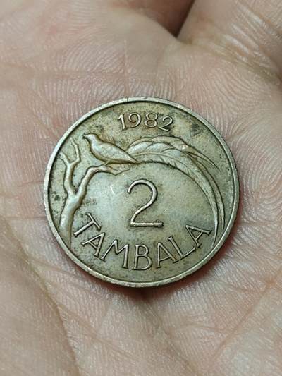 2026年第四十八场(总第二百一十七场）外国好品散币场(免佣金) 马拉维🇲🇼1982年2坦巴拉(独立后第二套第二版，国名文字有音标版)