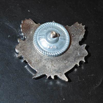 4月26日结束，成斌徽章钱币精品场 俄乌战争流出 乌克兰国防部军事情报总局徽章