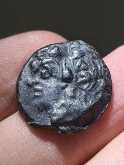 星盘世界钱币 5.2年度精品币大拍 一周年抽奖活动 精品！希腊化时代-克里米亚 提卡帕翁城 公元前294-283 年 潘神4查柯铜币正面为年轻的自然之神潘神头像，头戴象征酒神的常春藤花环。