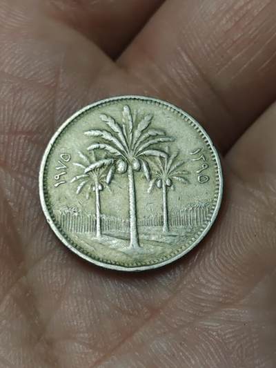 2026年第四十八场(总第二百一十七场）外国好品散币场(免佣金) 伊拉克🇮🇶1975年25费尔(共和国第二套流通硬币，艾哈迈德·哈桑·贝克尔执政时期)