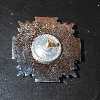 4月26日结束，成斌徽章钱币精品场 乌克兰第38独立航空旅徽章