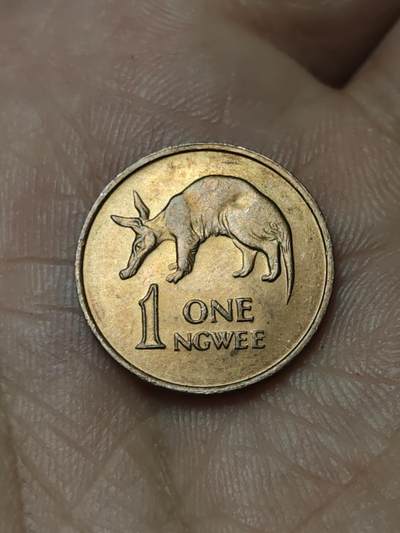 2026年第四十八场(总第二百一十七场）外国好品散币场(免佣金) 赞比亚🇿🇲1983年1恩韦(第二套流通硬币第二版，关门年仅发行二年，镀铜钢材质有磁版)