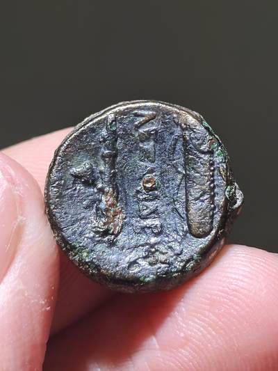 星盘世界钱币 5.2年度精品币大拍 一周年抽奖活动 古希腊马其顿帝国 公元前336-323 年 亚历山大三世 大力神和武器铜币。正面为戴涅墨亚狮皮盔的赫拉克勒斯头像，背面为赫拉克勒斯的标志性武器组合（狼牙棒、弓箭与箭囊）