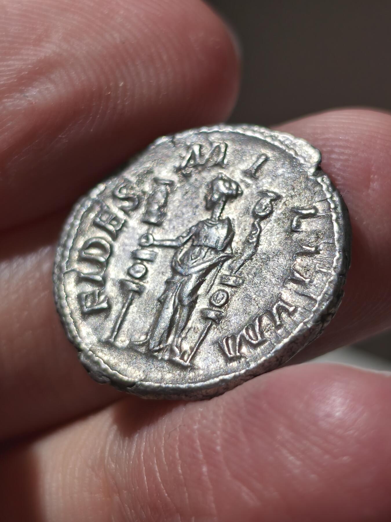 星盘世界钱币 5.2年度精品币大拍 一周年抽奖活动