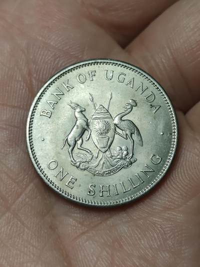 2026年第四十八场(总第二百一十七场）外国好品散币场(免佣金) 乌干达🇺🇬1966年1先令(独立后首套流通硬币首发年)