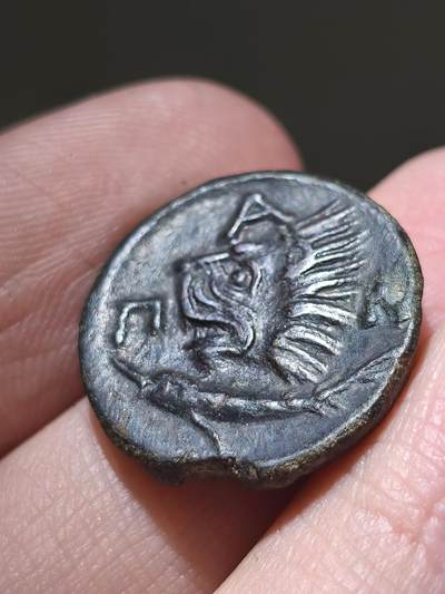 星盘世界钱币 5.2年度精品币大拍 一周年抽奖活动 精品！希腊化时代-克里米亚 提卡帕翁城 公元前294-283 年 潘神4查柯铜币正面为年轻的自然之神潘神头像，头戴象征酒神的常春藤花环。