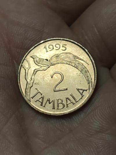 2026年第四十八场(总第二百一十七场）外国好品散币场(免佣金) 马拉维🇲🇼1995年2坦巴拉(独立后第四套第一版，有磁版)