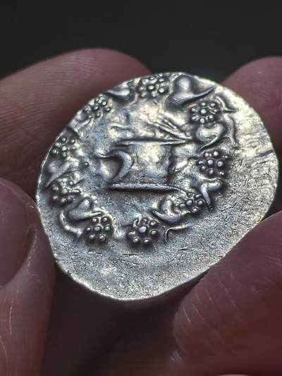 星盘世界钱币 5.2年度精品币大拍 一周年抽奖活动 顶级美品！古希腊密细亚・帕加马王国 公元前85-76年 蛇篮四德拉克马银币正面为两条密教圣蛇交缠，象征阴阳平衡、疆域守护、祛厄与神性联结，也是后世西方双蛇杖符号的源头。