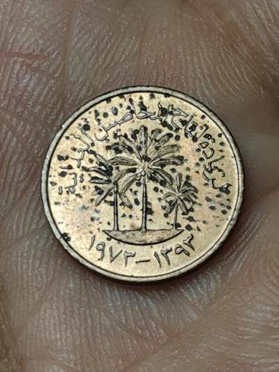 2026年第四十八场(总第二百一十七场）外国好品散币场(免佣金) 阿联酋🇦🇪1973年1费尔(首套流通硬币首发年)