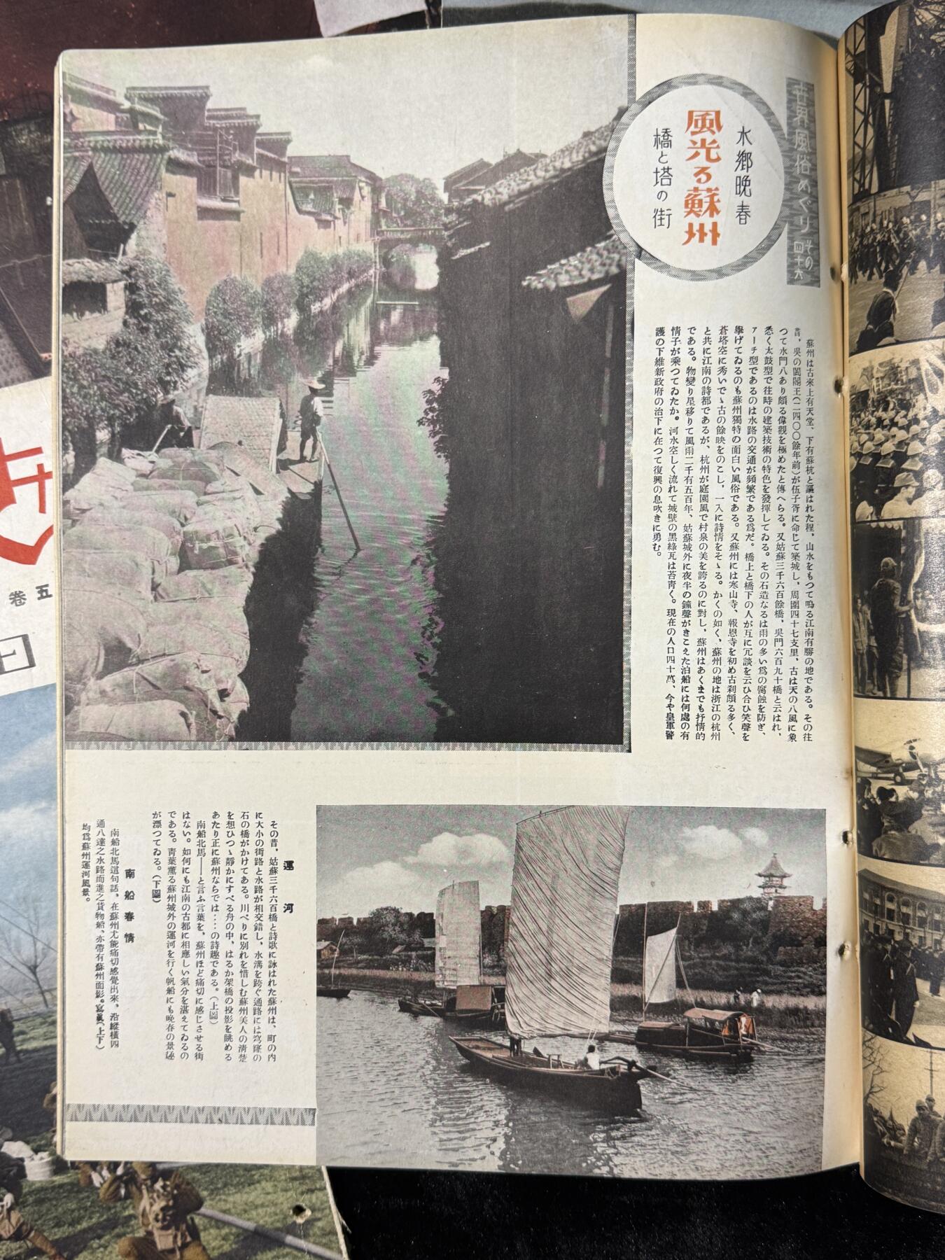 戎马世界章牌大赏第115期