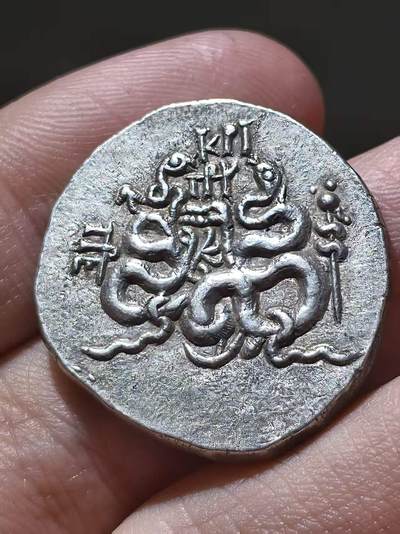 星盘世界钱币 5.2年度精品币大拍 一周年抽奖活动 顶级美品！古希腊密细亚・帕加马王国 公元前85-76年 蛇篮四德拉克马银币正面为两条密教圣蛇交缠，象征阴阳平衡、疆域守护、祛厄与神性联结，也是后世西方双蛇杖符号的源头。