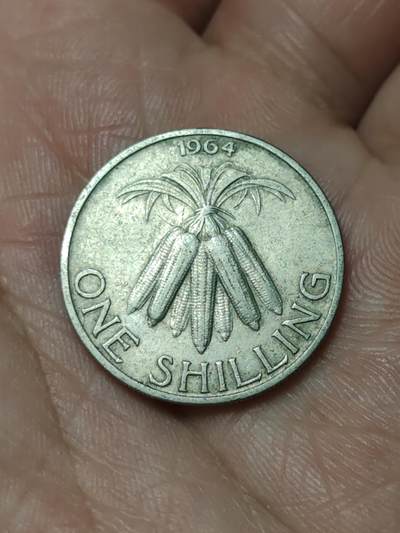 2026年第四十八场(总第二百一十七场）外国好品散币场(免佣金) 马拉维🇲🇼1964单年份1先令(独立后首套流通硬币)