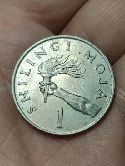 2026年第四十八场(总第二百一十七场）外国好品散币场(免佣金) 坦桑尼亚🇹🇿1981年1先令(独立后首套流通硬币)