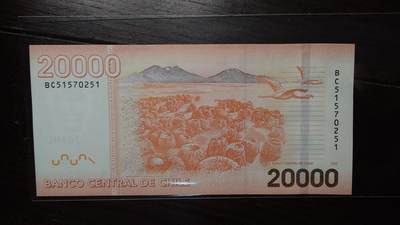 世界钱币～微拍第248期暨2026年第29期  少量老库存低价起拍 2025年最新年份智利20000比索 全新绝品无4尾号251