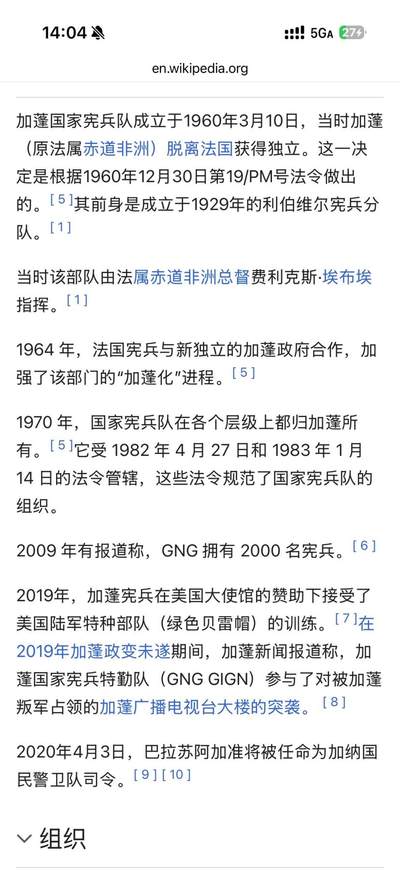 戎马世界章牌大赏第115期 加蓬国家宪兵部队挂旗，金属丝刺绣工艺