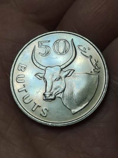 2026年第四十八场(总第二百一十七场）外国好品散币场(免佣金) 原光好品–冈比亚🇬🇲1998年50布图(独立后第三套流通硬币)